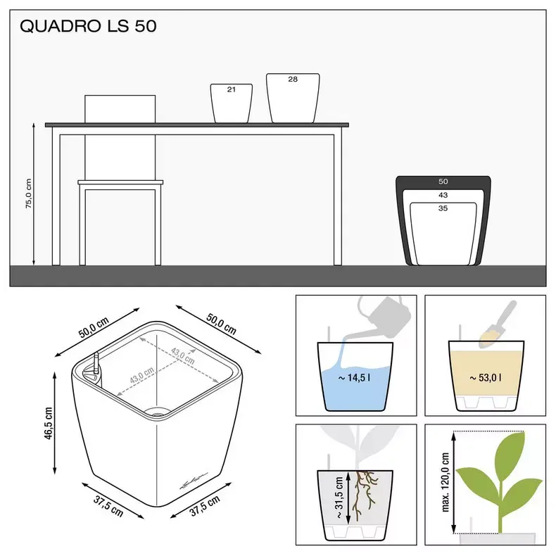 QUADRO LS 50 taupe hochglanz-2.webp