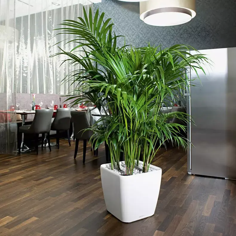 QUADRO LS 43 taupe hochglanz.webp