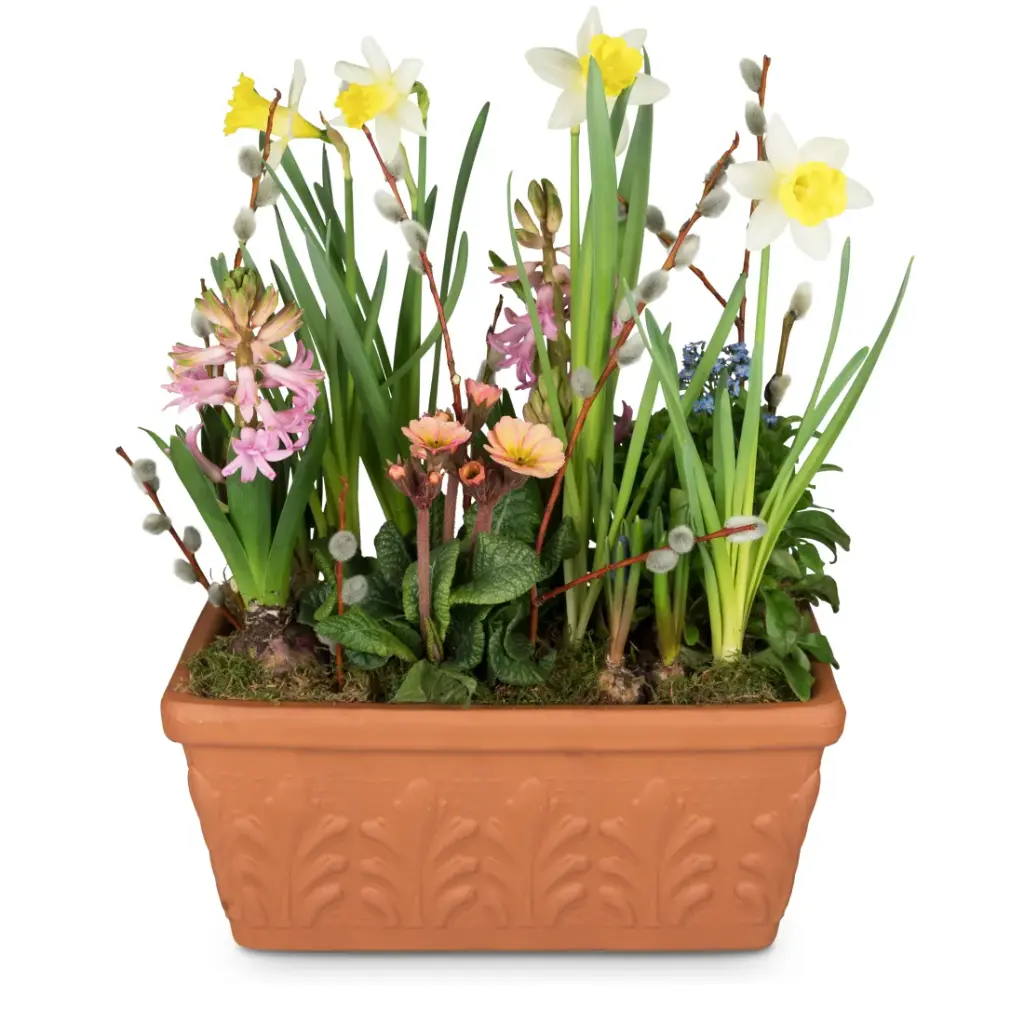 Fröhliches Frühlingsgärtchen (bepflanzt)