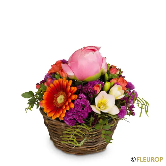 [90652-M] Magischer Moment (Minimum)