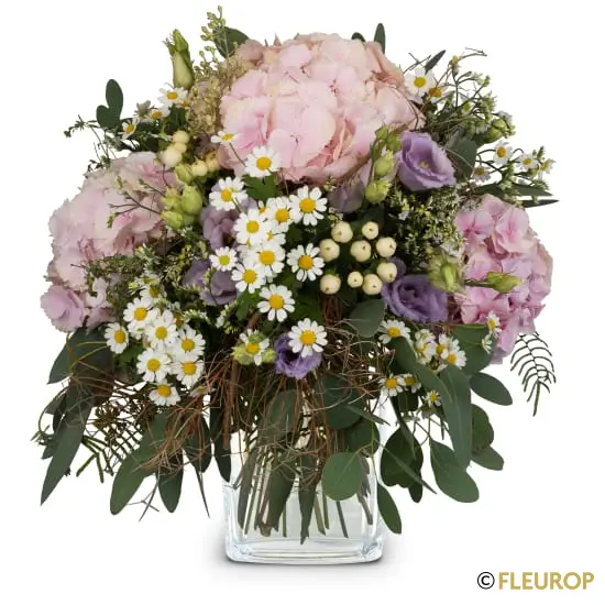 Natürliche Schönheit