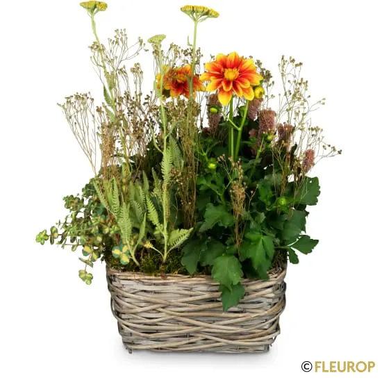 Natürlicher Gartentraum