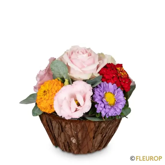 [76567-M] Süsser Blumengruss (Minimum)