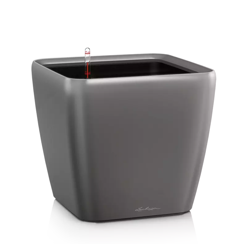 Lechuza QUADRO LS