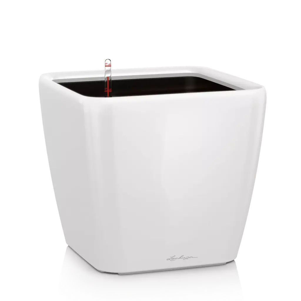 Lechuza QUADRO LS taupe hochglanz