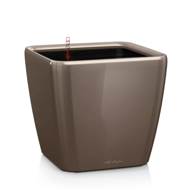 Lechuza QUADRO LS taupe hochglanz