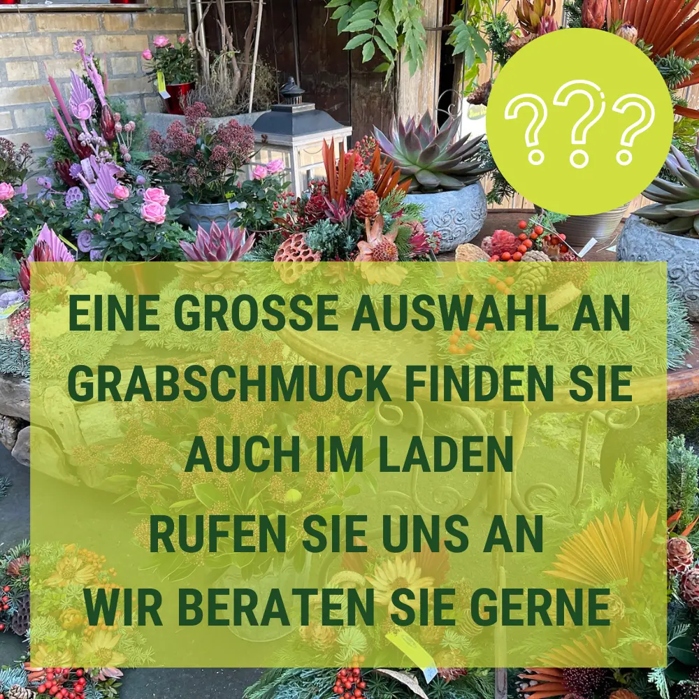 Kein passender Artikel gefunden für Allerheiligen? 