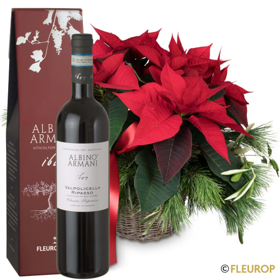 [89555] Christmas Dream (Weihnachtsstern) mit Ripasso Albino Armani DOC (75 cl)