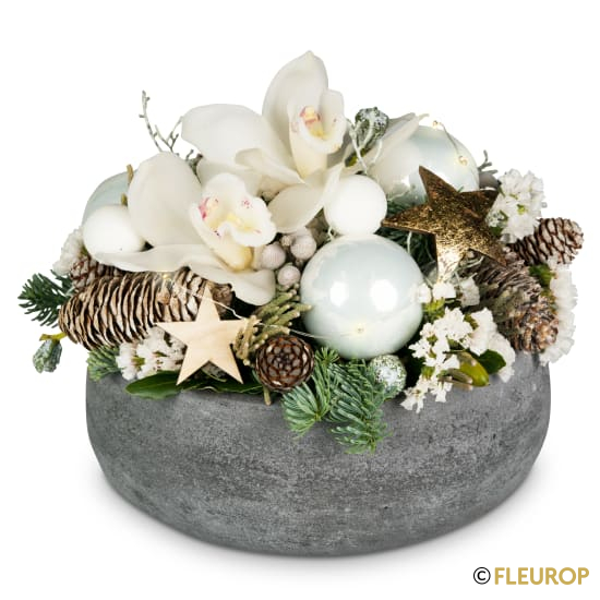 [77665] Edle Sternstunden (mit Lichterkette)