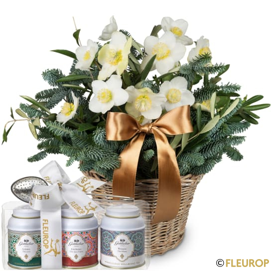 [80716] Eisprinzessin (Christrose) mit Gottlieber Tee Geschenk-Set