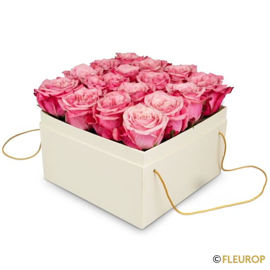 Blumenbox «Lucerne» (20 cm)
