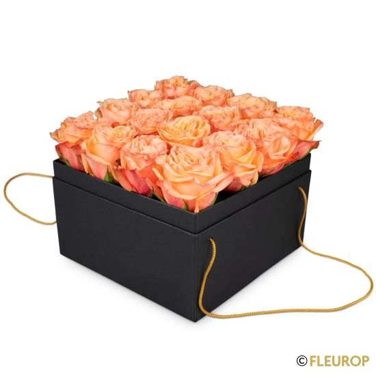 Blumenbox «Marseille» (20 cm)