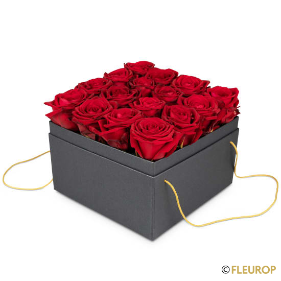 Blumenbox «Paris» (20 cm)