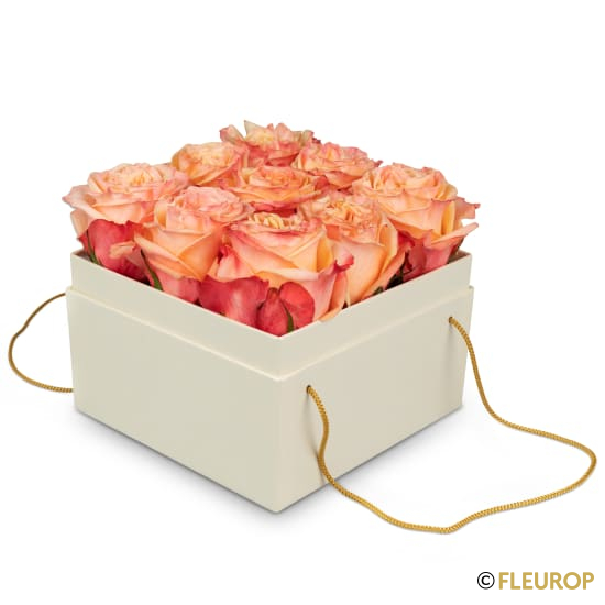 [78331] Blumenbox «Vienna» (15 cm)