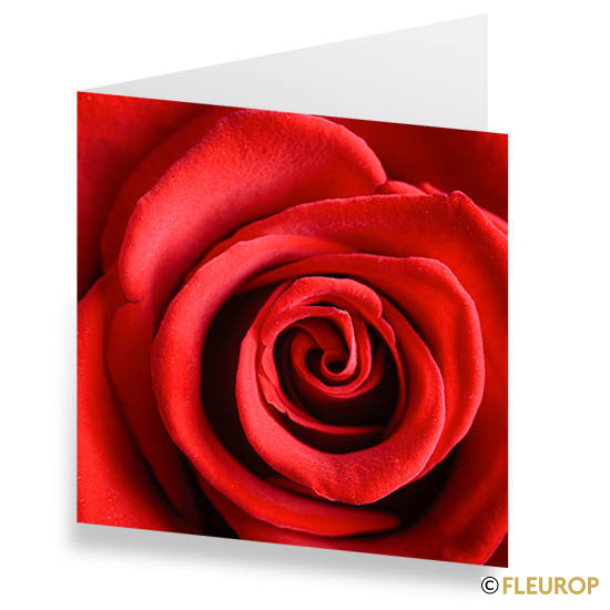 Karte Rose