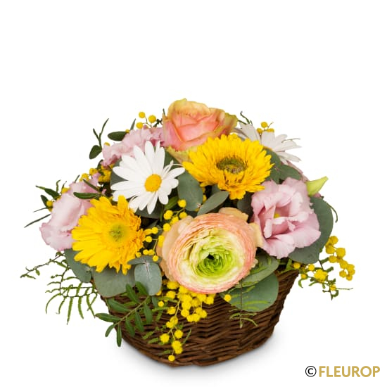 Fröhliche Frühlingswiese