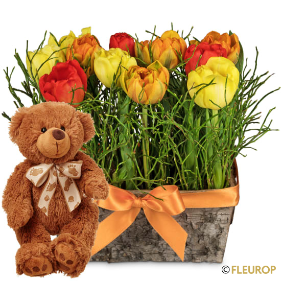 Fröhliche Tulpenwiese mit Teddybär