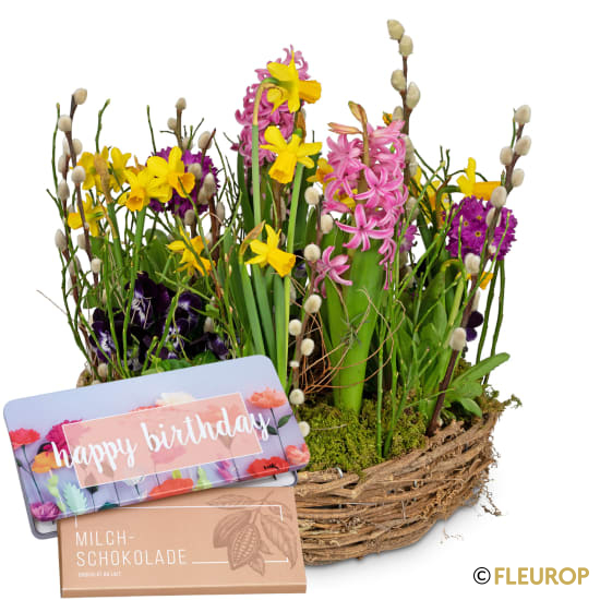 Fröhlicher Frühlingskranz mit Munz Schoggi-Tafel «Happy Birthday»