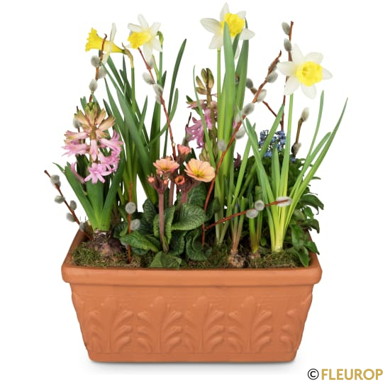 Fröhliches Frühlingsgärtchen