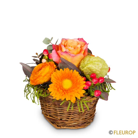 Frühling pur