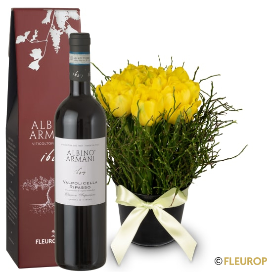 Frühlings-Hit mit Ripasso Albino Armani DOC (75 cl)