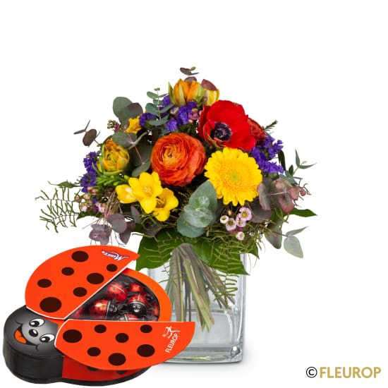 Happy mit Munz Schoggi-Glückskäfer