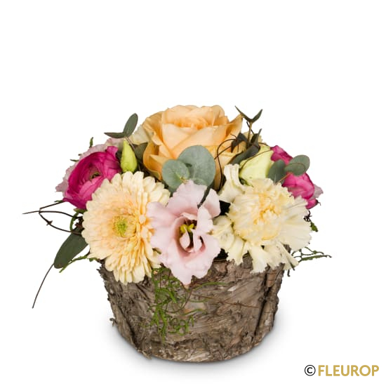 Sanfte Frühlingsmelodie