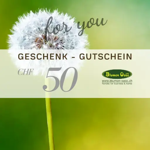 Geschenkgutschein 50