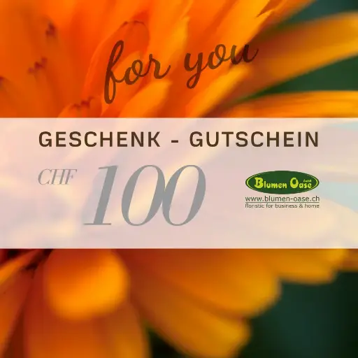 Geschenkgutschein 100