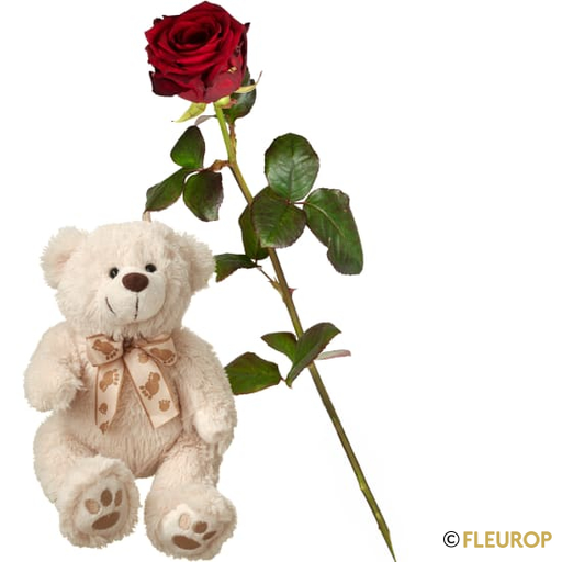 [75472] 1 rote Rose mit Teddybär