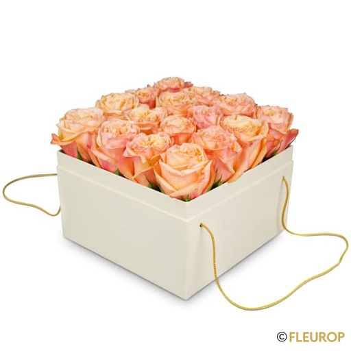 [78332] Blumenbox «Vienna» (20 cm)