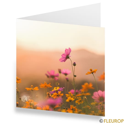[87409] Karte Blumenwiese