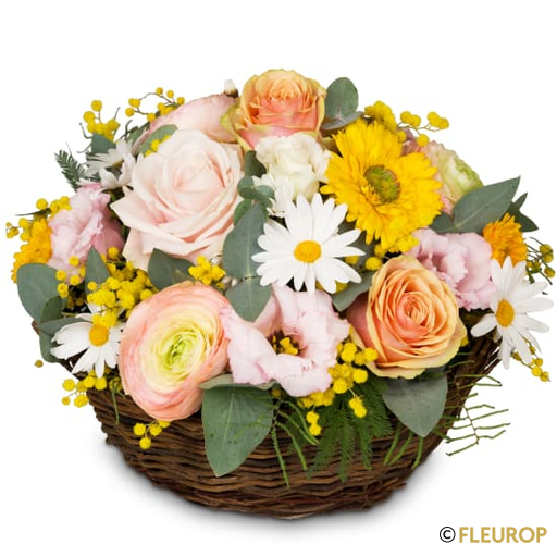 Fröhliche Frühlingswiese