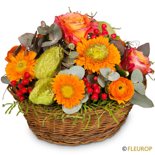Frühling pur