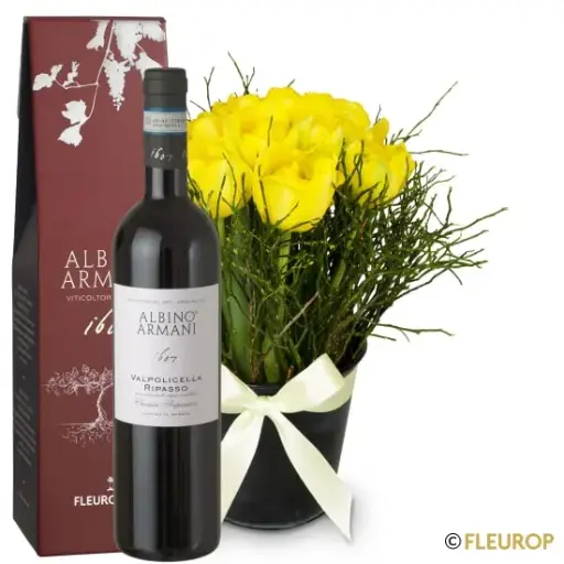 Oster-Hit mit Ripasso Albino Armani DOC (75 cl)