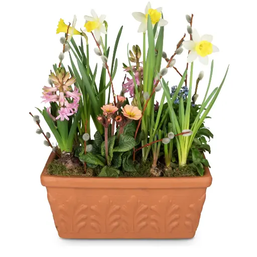 Fröhliches Frühlingsgärtchen (bepflanzt)