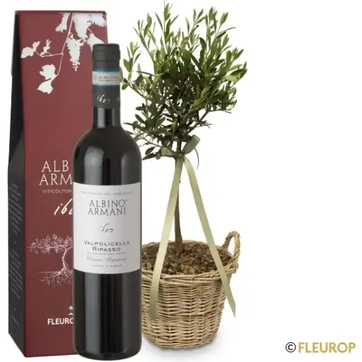 [87027] Summer Dream (Olivenbäumchen) mit Ripasso Albino Armani DOC (75 cl)