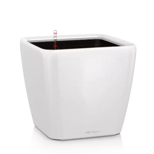 Batterien C zu LED Kerze 2 Stk.  (Kopie)